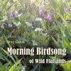 Morning_Birdsong_of_Wild_Flatlands