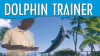 Tell_Me_How_Career_Series__Dolphin_Trainer