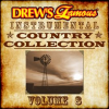 Drew_s_Famous_Instrumental_Country_Collection__Vol__8