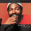 The_Marvin_Gaye_Collection