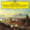 Tchaikovsky__Serenade_for_String_Orchestra__Op__48__Souvenir_de_Florence__Op__70