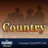 The_Karaoke_Channel_-_Country_Hits_of_1976__Vol__3