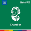 Celebrate_Beethoven__Chamber
