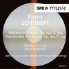 Schubert__Fantasy__Op__159___Duo_Sonata__Op__162