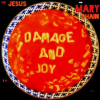 Damage_and_Joy