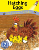 Hatching_Eggs