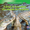 A_Float_of_Crocodiles___Una_manada_de_cocodrilos