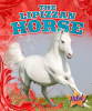 The_Lipizzan_Horse