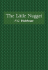 The_Little_Nugget