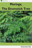 The_Drumstick_Tree_Moringa
