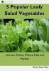 5_Popular_Leafy_Salad_Vegetable