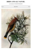 Birds_and_All_Nature__Vol__V__No__5__May_1899