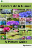 Flowers_at_a_Glance__A_Picture_Guide