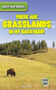 There_Are_Grasslands_in_My_Backyard_