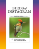 Birds_of_Instagram
