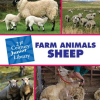 Farm_Animals__Sheep