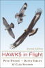 Hawks_In_Flight