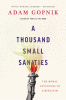 A_Thousand_Small_Sanities