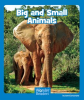 Big_and_Small_Animals