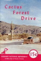 Cactus_Forest_Drive