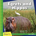 Egrets_and_hippos