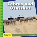 Zebras_and_ostriches
