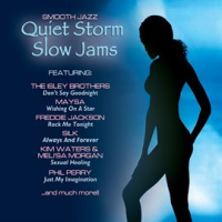 Quiet_Storm_Slow_Jams