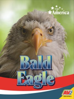 Bald_Eagle