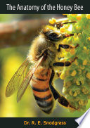 The_Anatomy_of_the_Honey_Bee
