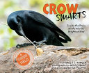 Crow_smarts