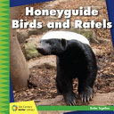 Honeyguide_birds_and_Ratels