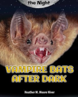Vampire_Bats_After_Dark
