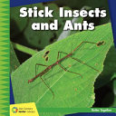 Stick_insects_and_ants