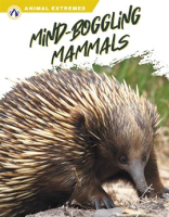 Mind-Boggling_Mammals