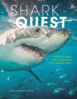 Shark_Quest