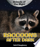 Raccoons_after_dark