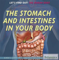 The_Stomach_and_Intestines_in_Your_Body